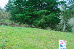 PacificCityLot12Wide