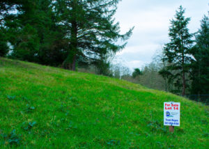 PacificCityLot14Wide