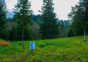 Pacific City sunset available vacant lot 23