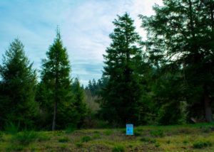 PacificCityLot31Far2