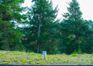 PacificCityLot33Wide