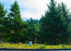 PacificCityLot34Wide