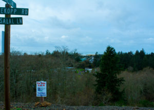 PacificCityLot4Wide2