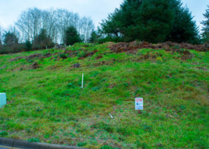 PacificCityLot66Wide