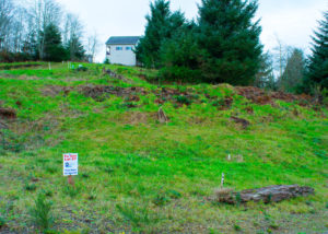 PacificCityLot67Wide