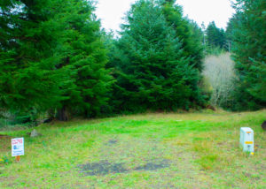 Available lot for custom home in Pacific CIty