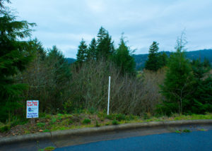 PacificCityLot76Wide