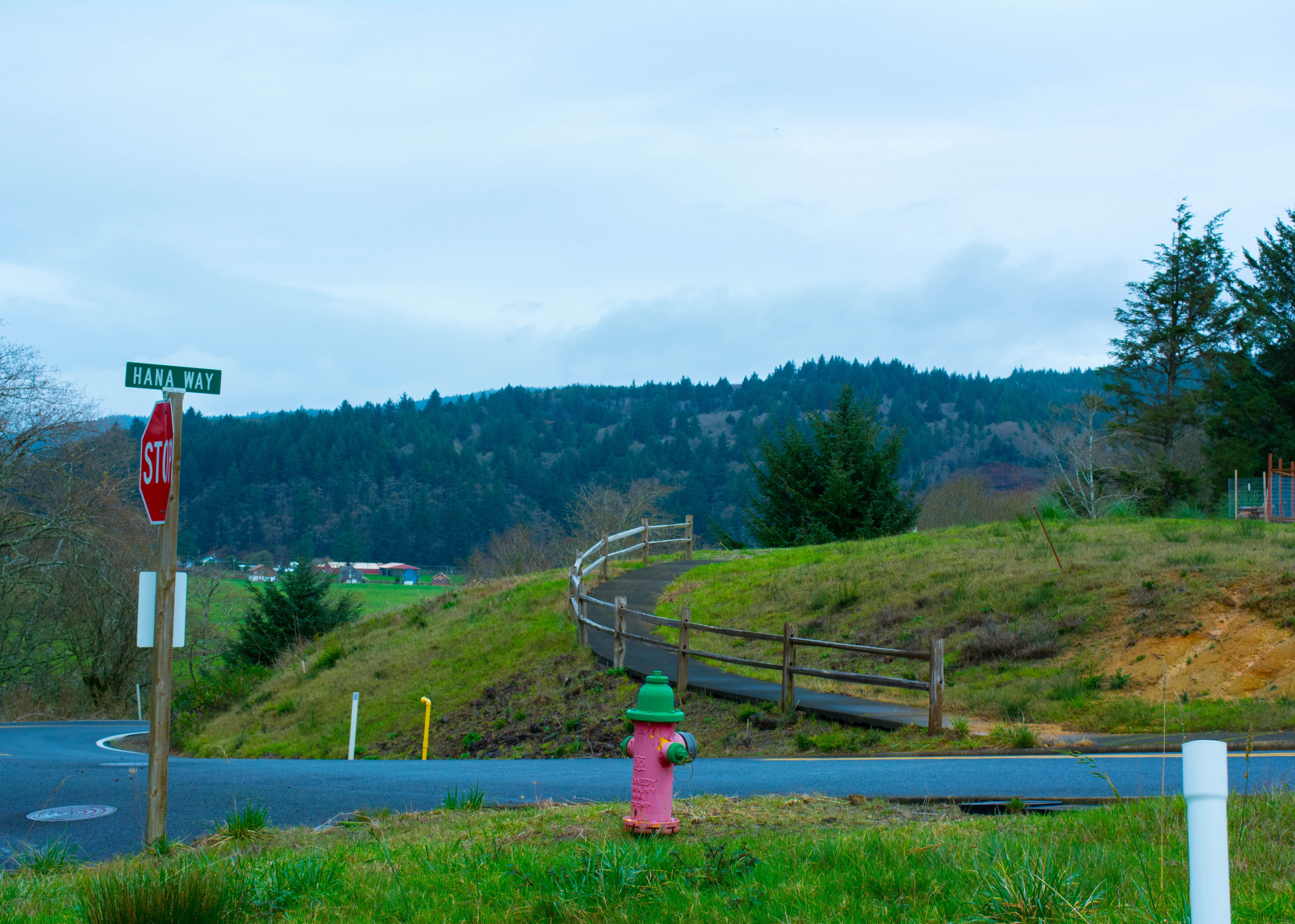 Oregon Coast Walking Path